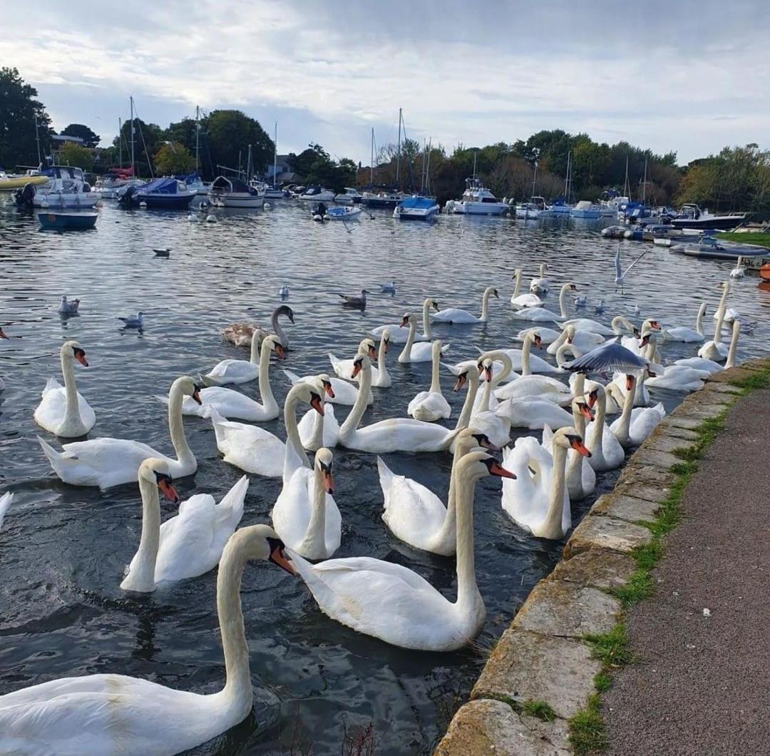 Mudeford Swans Apartment Christchurch  Exterior photo